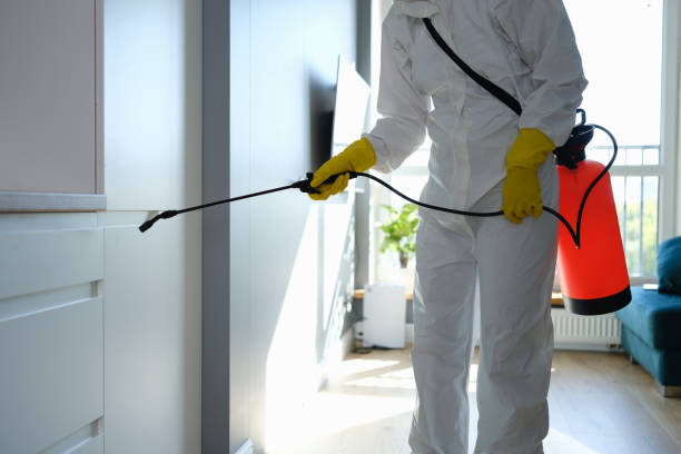 Best Commercial Mold Remediation in Winlock, WA